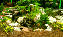 Pondless Waterfall