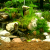 Pondless Waterfall