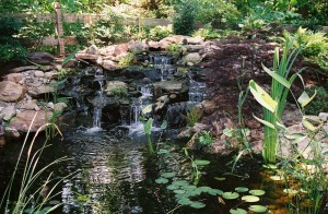 water gardens greensboro