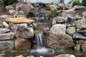 Chapel Hill Backyard Ponds