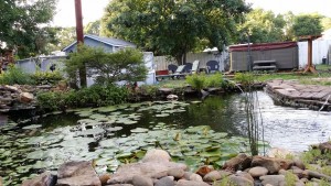 pond cleaning Raleigh nc