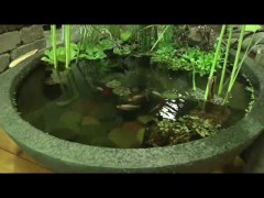 20141208_patio-pond-2