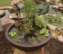 20141208_patio-pond-3