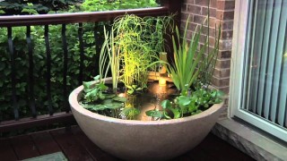 patio-pond-1