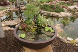 patio-pond-5